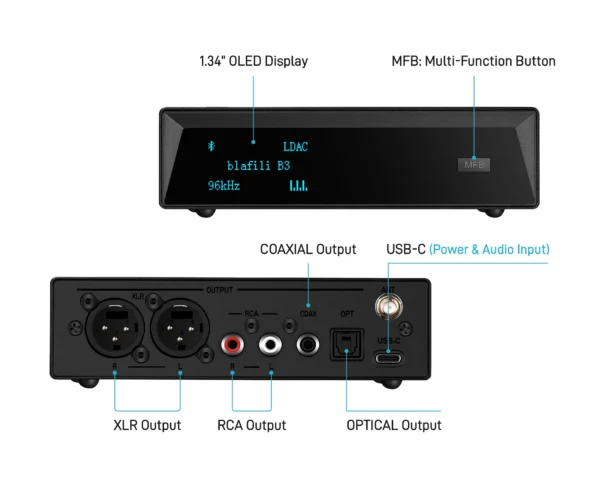 wired receiver outputs - rear panel of the blafili B3 with XLR, RCA, optical and coax jacks